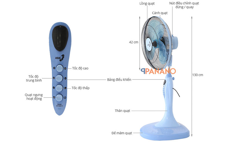 Asia D16011 hiện đại, sải cánh rộng 40cm