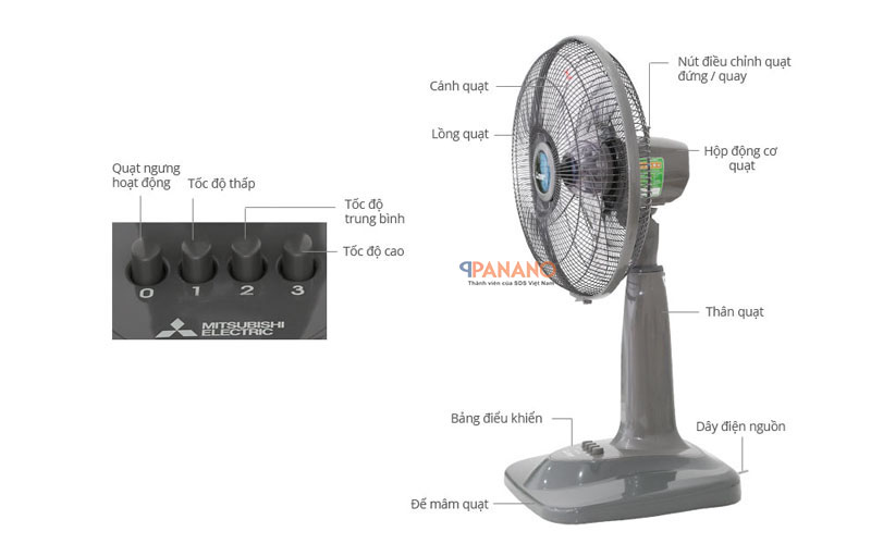 quat-lung-R16-GT-xam